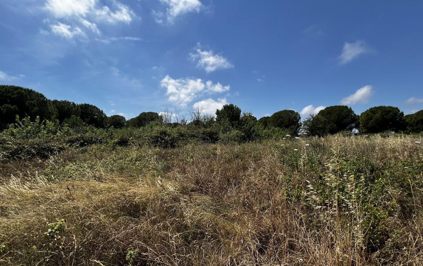 Terrain  nantes N°161031 